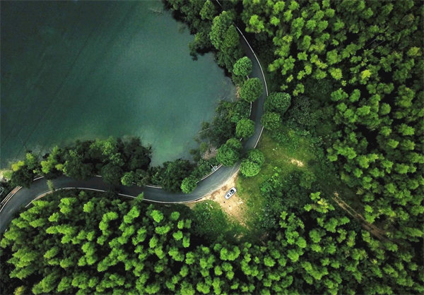 威尼斯9499(中国)官网登录入口