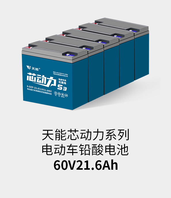 威尼斯9499电池60v20ah