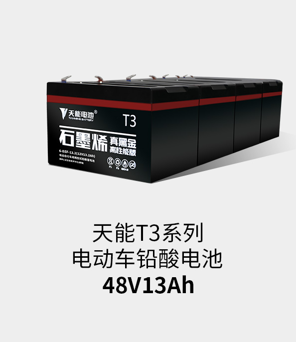 威尼斯9499T3系列48v13ah