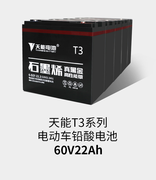 威尼斯9499T3系列60v22ah